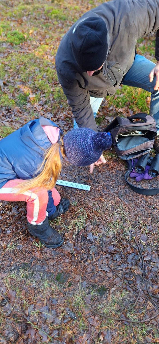 Dat was nog eens een leerzame zondagochtend! We mochten mee met <a href="/PostEgbert/">Egbert Post</a>, op zoek naar wolven! #spreekbeurt #drentsfriesewold