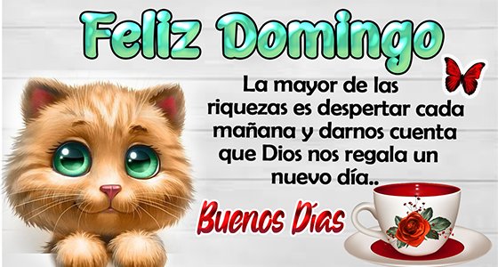 Edith Ramos (@edith_ramos_16) on Twitter photo 