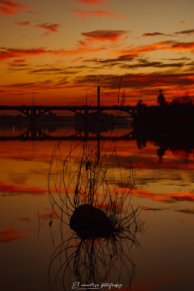El rojo fuego,la mirada encendida,el momento perfecto.
<a href="/eventos_en_extr/">EVENTOS EN EXTREMADURA</a> @Extremadura_tur <a href="/AmarExtremadura/">Amar Extremadura</a> <a href="/Badajoz_Marwan/">۞ Ibn Marwán ۞</a> <a href="/Eresdebadajozsi/">EresdeBadajozsi</a> <a href="/ReyMutawakkil/">Mutawakkil</a> <a href="/TurismoBadajoz/">Turismo Badajoz</a> <a href="/viajarporextrem/">ViajarPorExtremadura</a> <a href="/spain/">Spain</a> <a href="/afe_fotos_twitt/">Agrupación Fotográfica Extremeña (AFE)</a> <a href="/AmigosDeBadajoz/">Asociación Amigos de Badajoz</a> <a href="/SOSCABadajoz/">SOS CASCO ANTIGUO BA</a> <a href="/BarreraGragera/">Ignacio Gragera 🇪🇦</a> <a href="/Extre_Diaria/">Foto Diaria Extremadura</a>