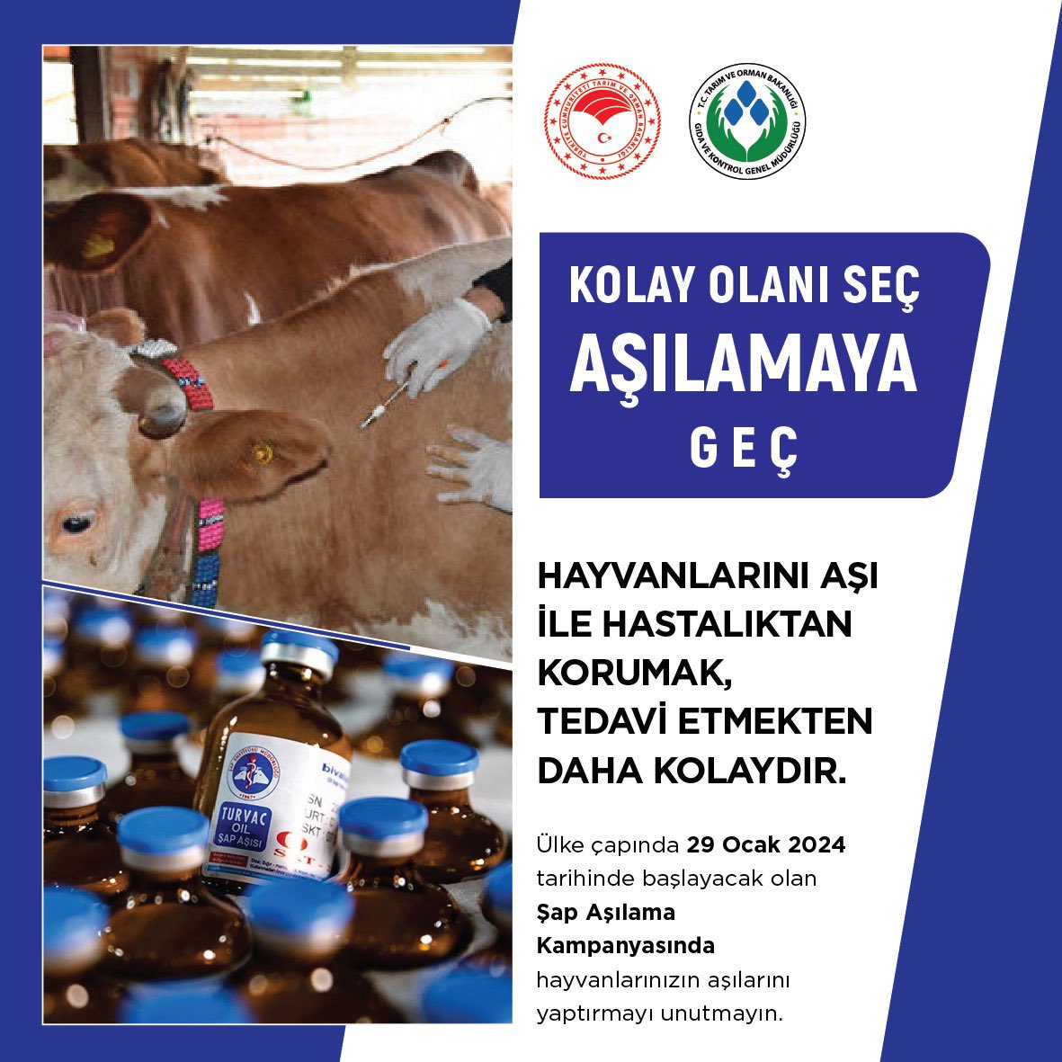 Şap hastalığına karşı etkin mücadelemiz devam ediyor.

Her yıl rutin 2 doz uygulanan aşı sayısını bu yıl 3 doza çıkartacak; ilk dozu 29 Ocak-31 Mart tarihlerinde aşı bedeli almadan uygulayacağız.💉

Şap Aşılama Kampanyası’nda hayvanlarınızın aşılarını yaptırmayı unutmayın.🐄🐂