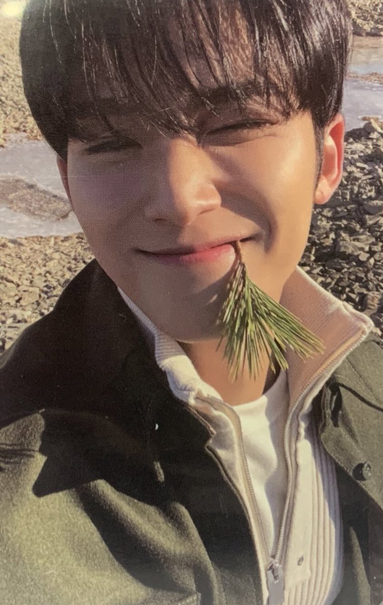koocarts's tweet photo. 🧺 wtb lfs svt ph

🛒 mingyu face the sun photocards

⤷ ep4 path ver &amp; carat ver
⤷ pref in good condi
⤷ pref flexi dop if set, can payo if tingi
⤷ loc: ust / mnl / qc
⤷ can trade to jun pcs (dm for photos)

🏷️ iso diso seventeen mg gyu https://t.co/XXKu1gdNxD