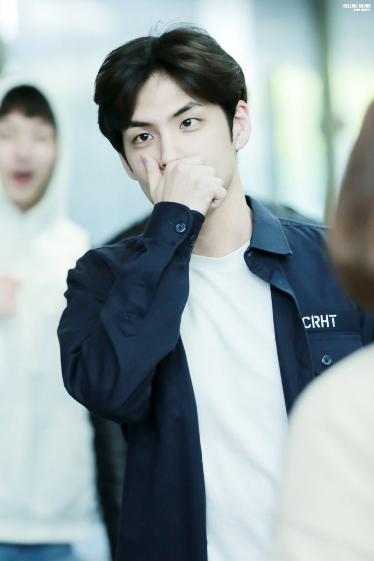 -아이, 나는 소, 돼지 전문이라니까요. 아... 여우는 처음인데.
-김선생!! 여우 죽어!!! 얼른 혀!!!

아침 댓바람 호출 받고 출장 나가니까 멧돼지 덫에 걸린 여우 한 마리를 마주하게 됨.

결국 필이 구조해서 정성을 다해 병간호해 주는데

-김선생 안녕?

그냥 여우가 아니라 여우 수인이었음.