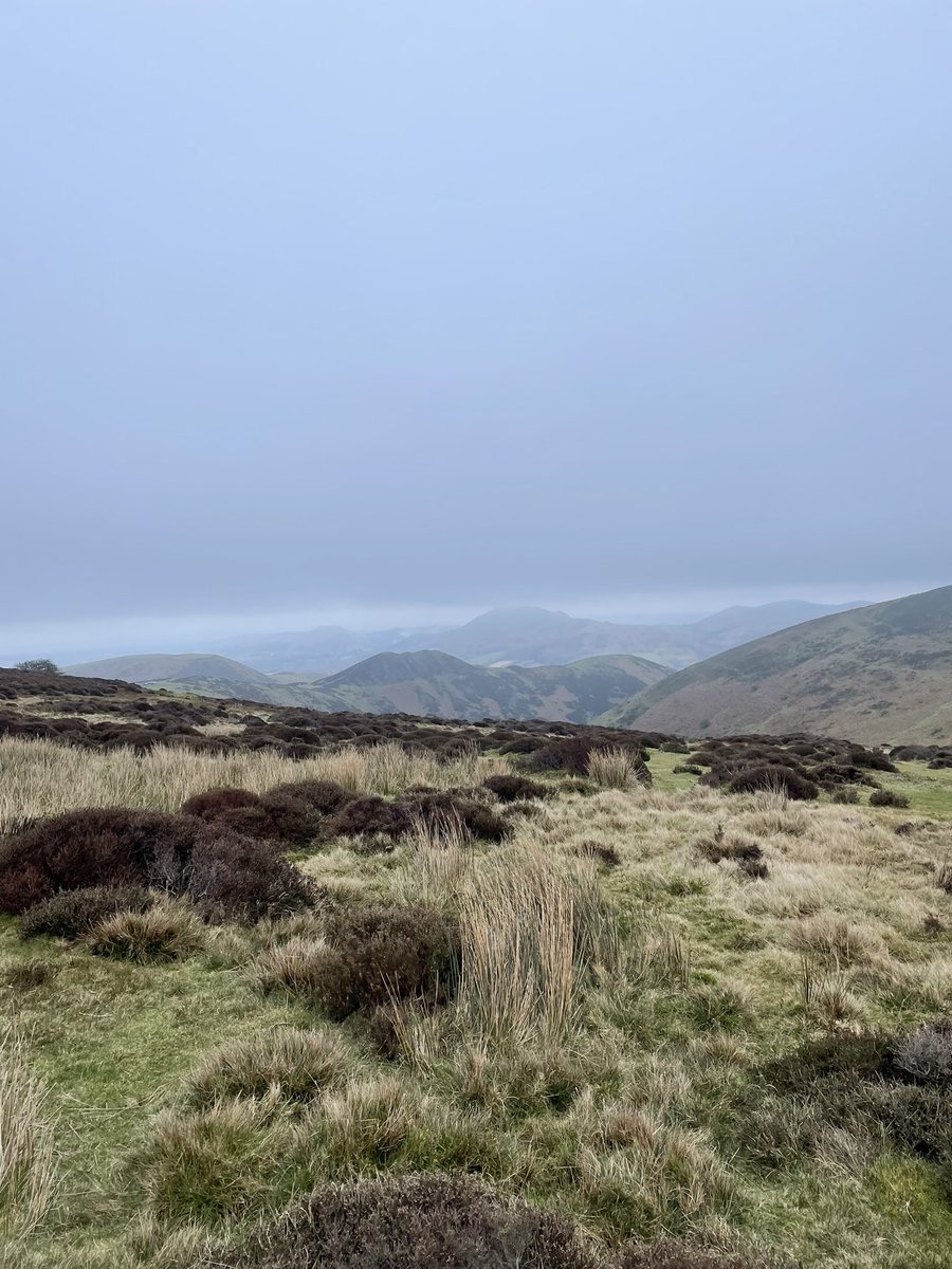 arufkhan's tweet image. Had a great walk at Carding Mill Valley / Long Mynd Circular