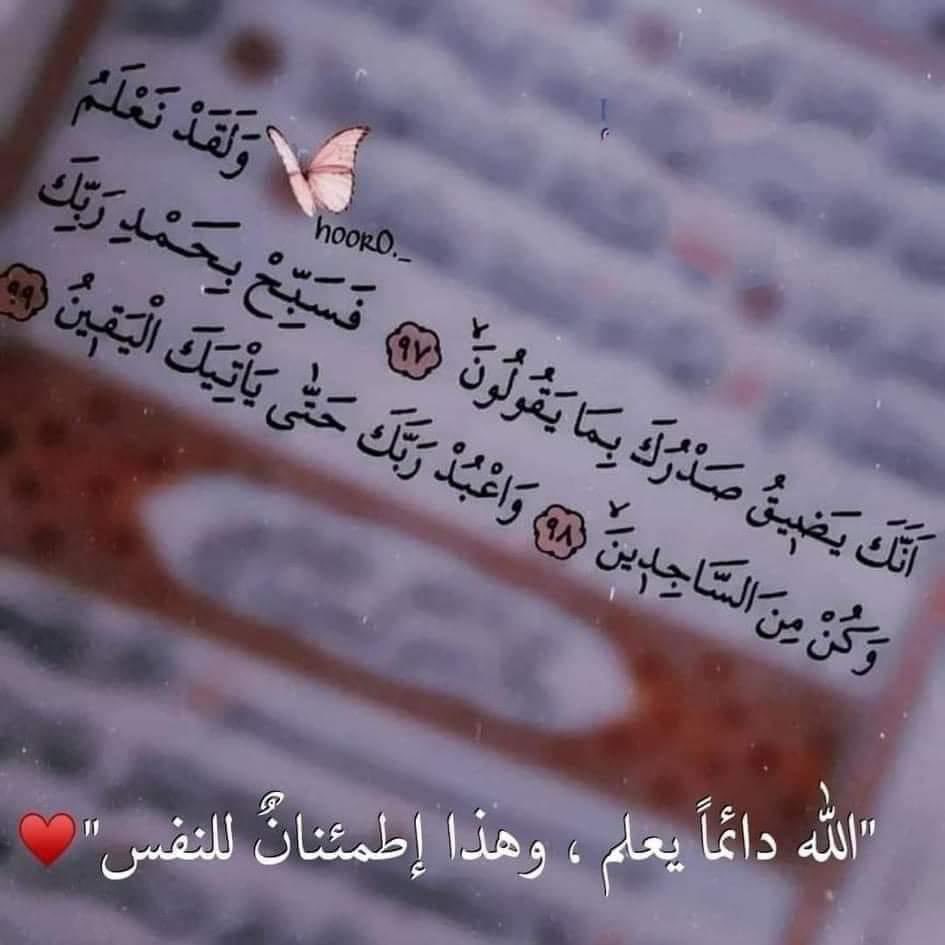 samah_N_b's tweet photo. فاطمئن 🌺 https://t.co/VBgLvT8eDx