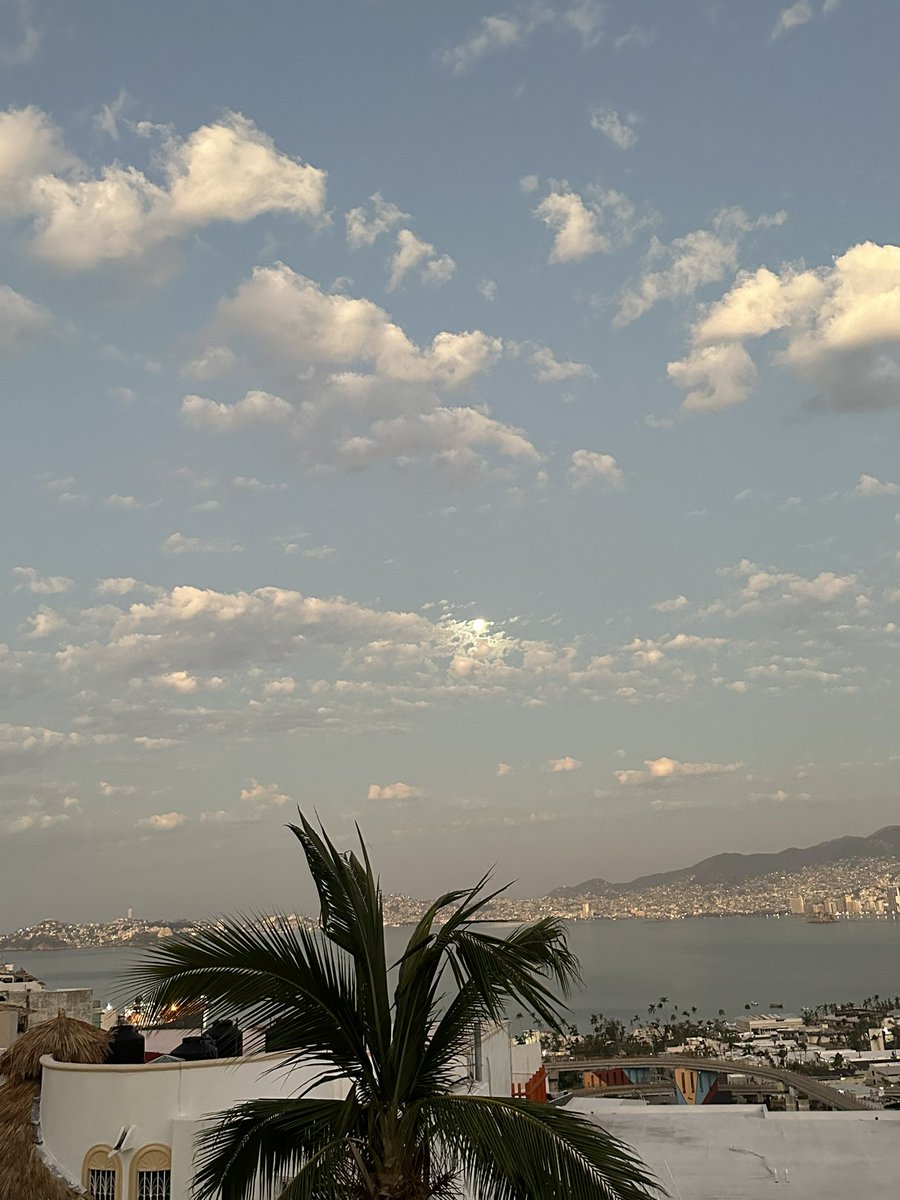 Didetzisotelo's tweet image. Buenos días ☀️ en el puerto más bonito del mundo 🌎 #Acapulco