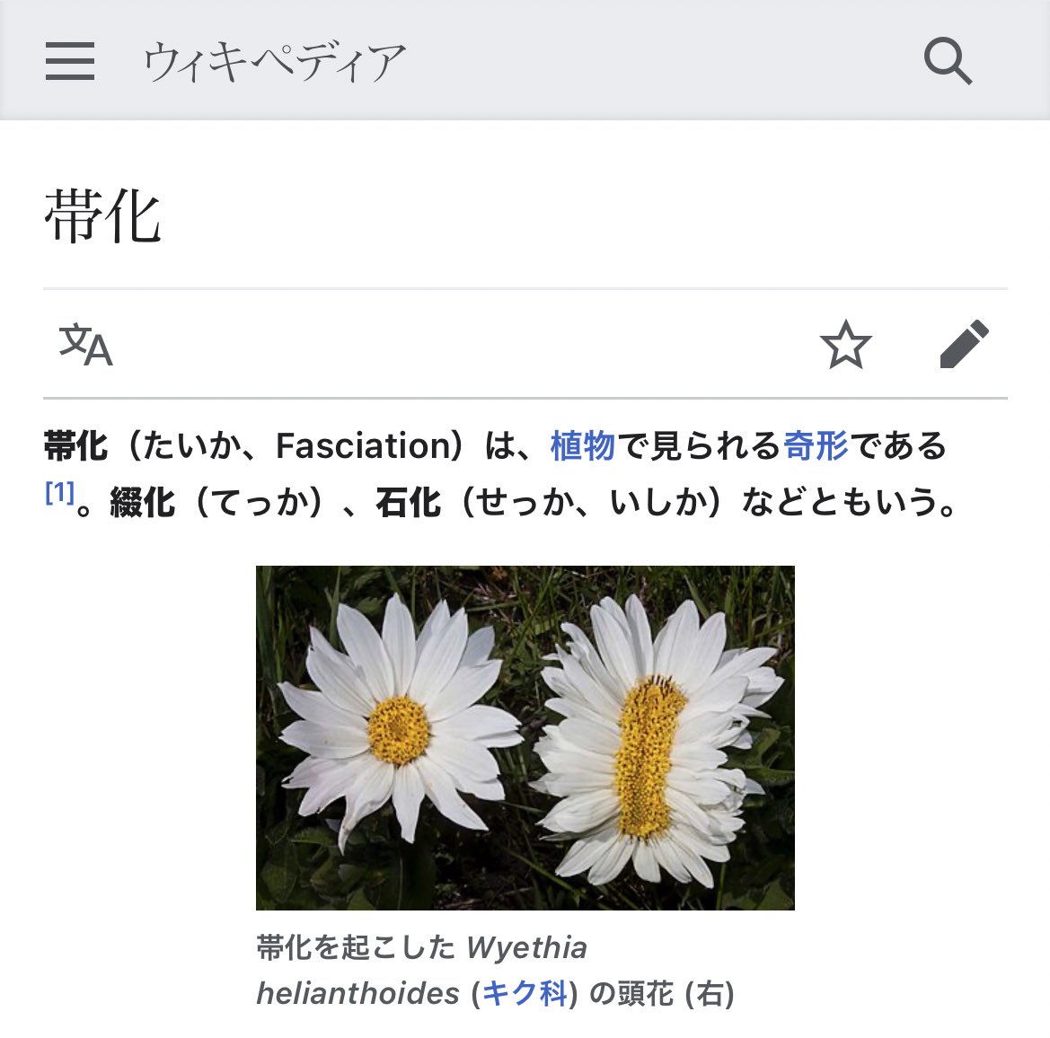 punch6789's tweet photo. 自然界における不思議な現象や性質があったら教えてリプで欲しいです。創作の参考にさせてもらうかもです。
私が好きなのは植物の「帯化」です。 https://t.co/jAxwzAOMhb