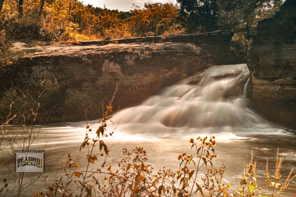 Michael Foster tweet media