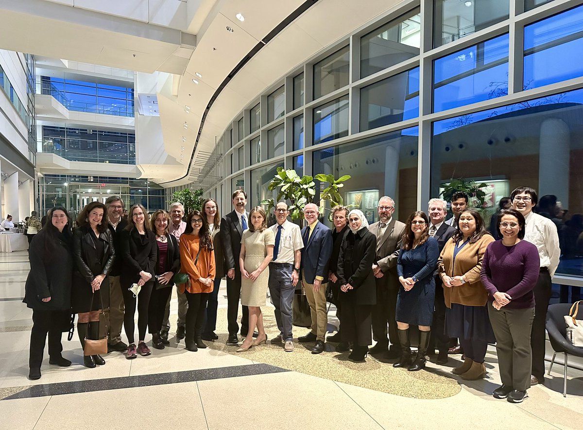 Adina Turcu tweet media