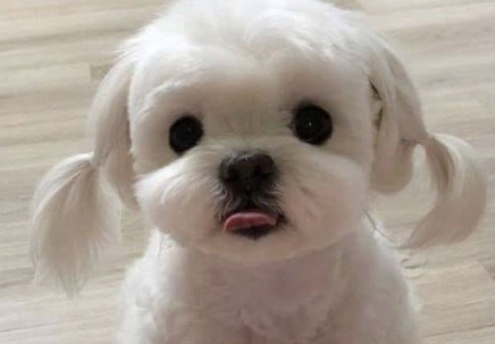 😁                                          😛