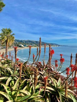 ryhoehoe's tweet image. Good morning. I pray for a beautiful life and a successful businessman. Friends