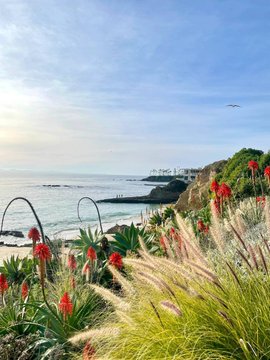 ryhoehoe's tweet image. Good morning. I pray for a beautiful life and a successful businessman. Friends