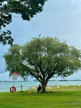 ryhoehoe's tweet image. Good morning. I pray for a beautiful life and a successful businessman. Friends