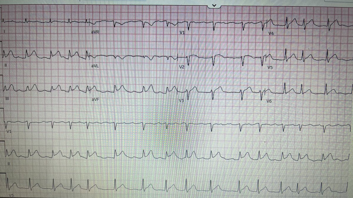 Luay sayed tweet media