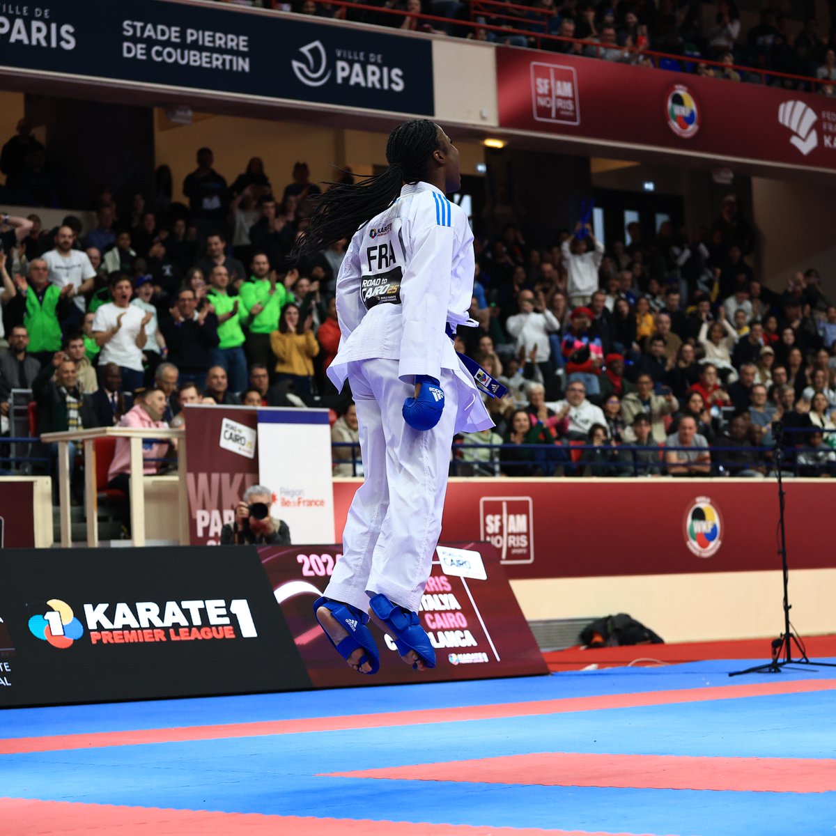 FFKaraté tweet media