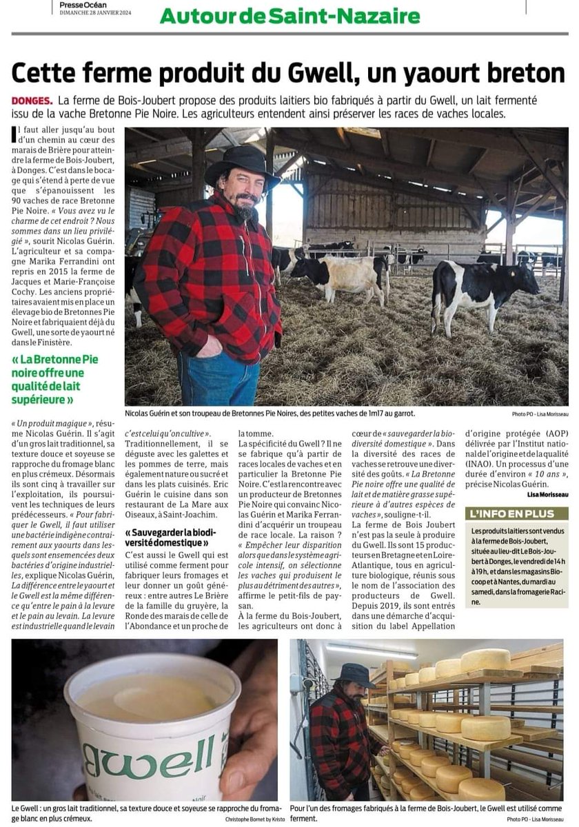 A Donges, près de Sant Nazer/Saint-Nazaire, une ferme briéronne produit le 'Gwell', un yaourt bio issu du lait des vaches Bretonne Pie Noire. Ils sont 15 producteurs, sur les 5 départements bretons, à proposer ce 'produit magique' 😋
#44bzh #paysnantaispaysbreton