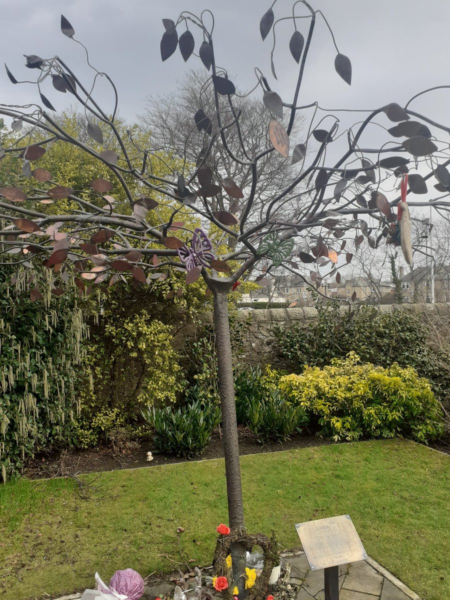sandymb1956's tweet photo. Passing through #SaughtonRoseGardens #Edinburgh earlier, quiet area, #TreeofTranquility #SimbaBench @SiMBA_team Peaceful part of #SaughtonPark @EdinOutdoors @Edin_the_walk @SaughtonFriends https://t.co/t3ppnTuK4E