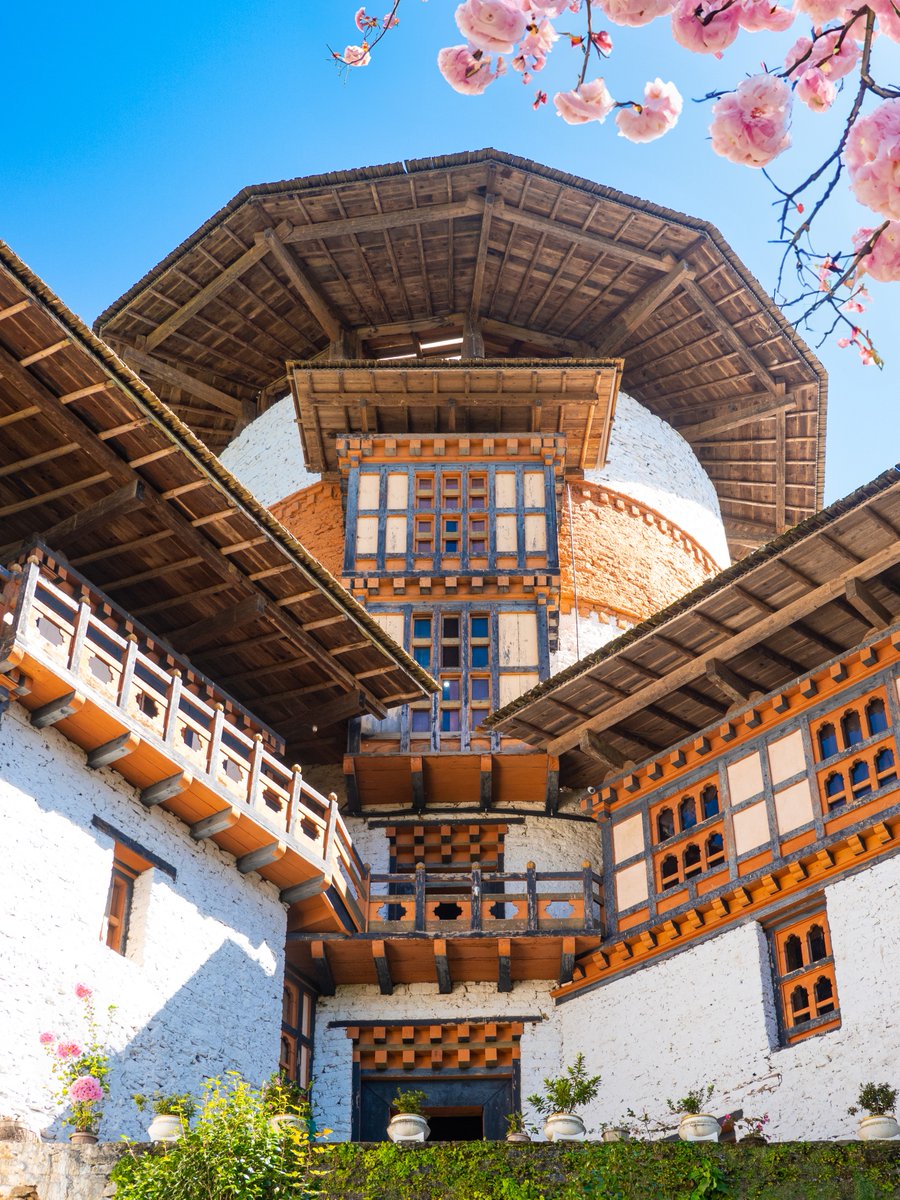 tourismbhutan's tweet photo. Bhutan stands out as one of the best-emerging destinations in the world, presenting numerous under-the-radar treasures for those seeking unique and off-the-beaten-path experiences.
📸 kevinandamanda (IG) https://t.co/j7mIr8ydPE