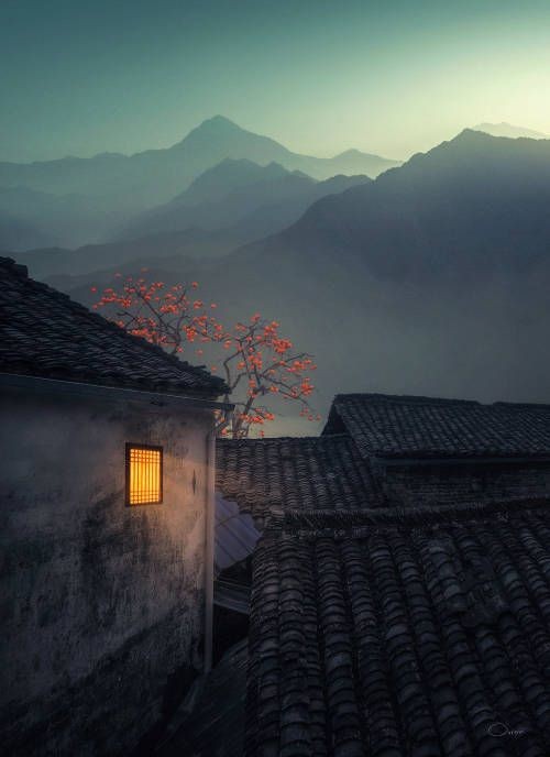 Fotini Mavromati tweet media