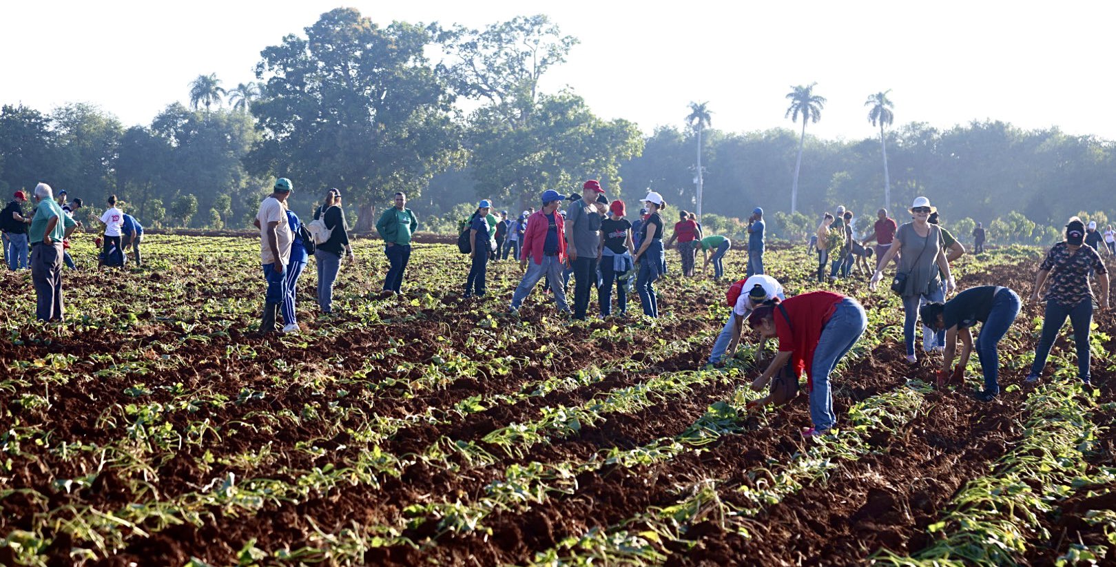 Foto: @PresidenciaCuba