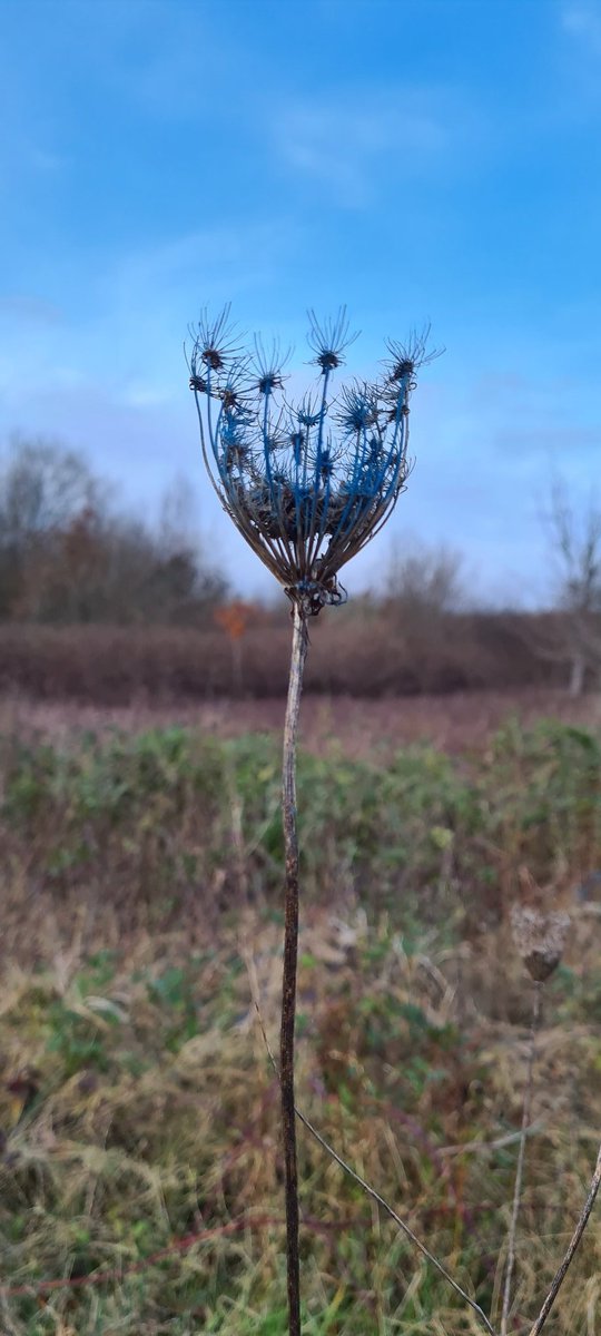 CastellUK's tweet photo. Happy Sunday everyone.
Some photos from our walk around #Tongwynlais this afternoon.
Hope you're having a relaxing weekend.
#castellcoch #Cardiff #localmaker #castelluk #handmadegifts #handpoured #soycandles #handmadesoap #palmoilfree https://t.co/CZ2Cgx7eoa