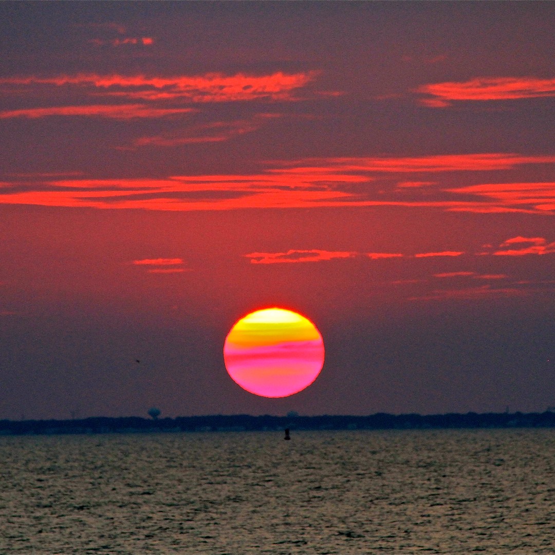 chesapeakebay tweet picture