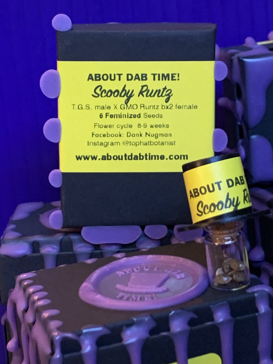 aboutdabtime.com 
This Scooby Runtz that I created is a fun one to grow. It has a beautiful multi Violet fade. 🎩
Works well for anxiety and to relax after a tough day. Code:Montana420 gets you 30% off at checkout.  #seeds #madeinmontana