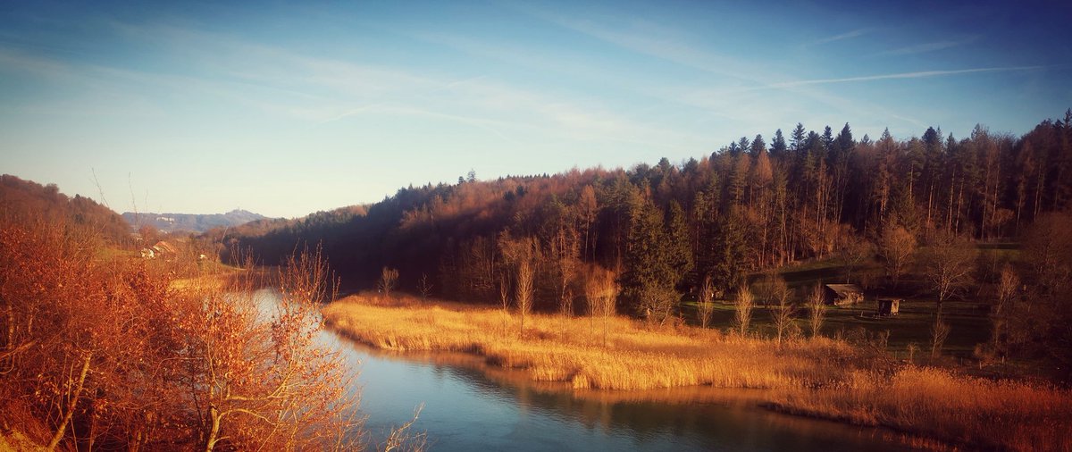 SimonAprilMonn's tweet image. 🐾Nice stroll in the backyard #wohlensee @aare_bern @BernTourismus @Myswitzerland_e #Kirchlindach #Herrenschwanden #energize #science #inspiration