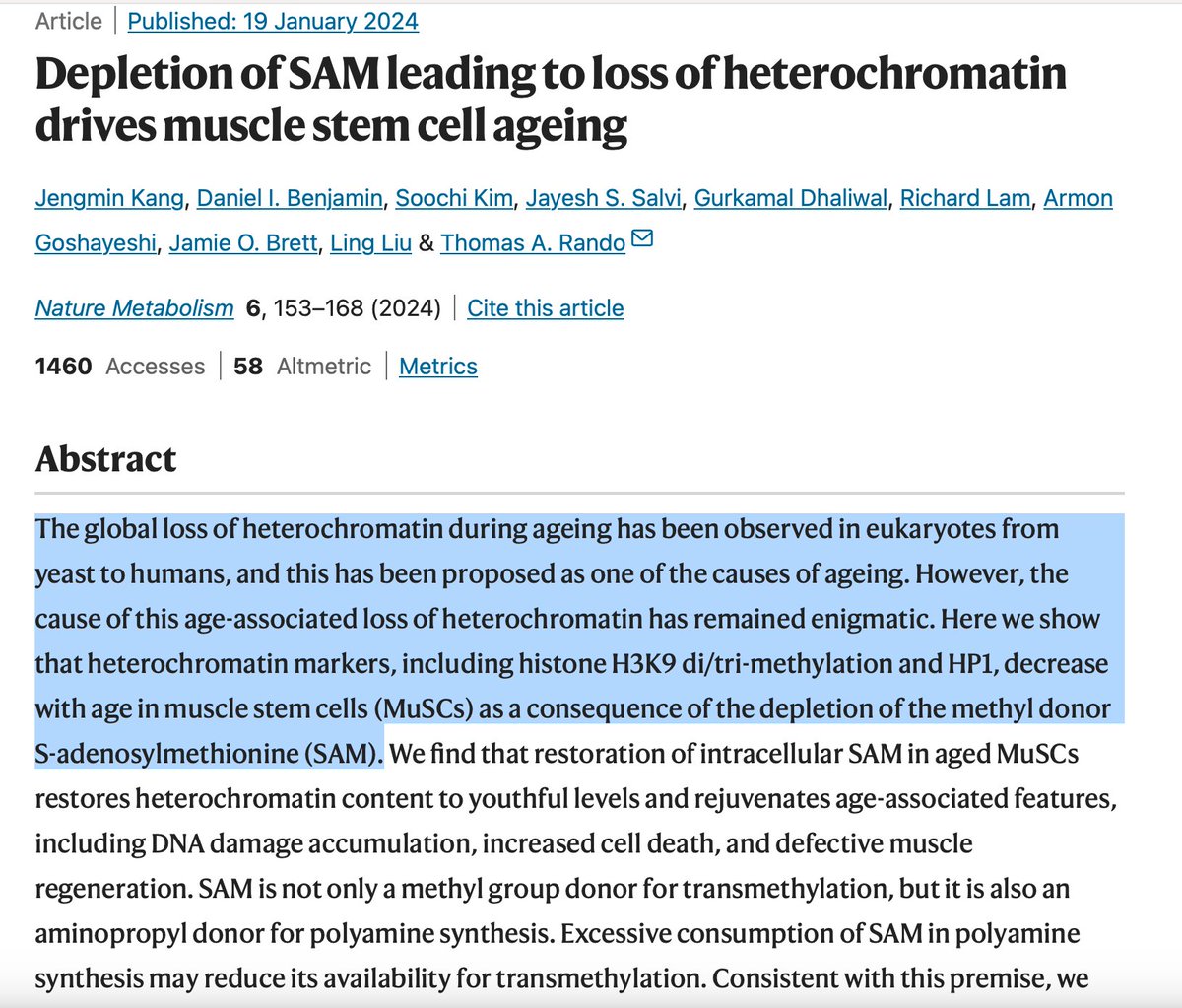 janiesaysyay's tweet photo. Depletion of SAM drives muscle stem cell aging.
This points to @parsifaler's research showing SARS2 accelerates aging in host cells. #LifeInOneDay
Long Covid patients are experiencing atrophy, necrosis and accelerated aging of their muscle cells in PEM. > https://t.co/xqqYcnHPLI