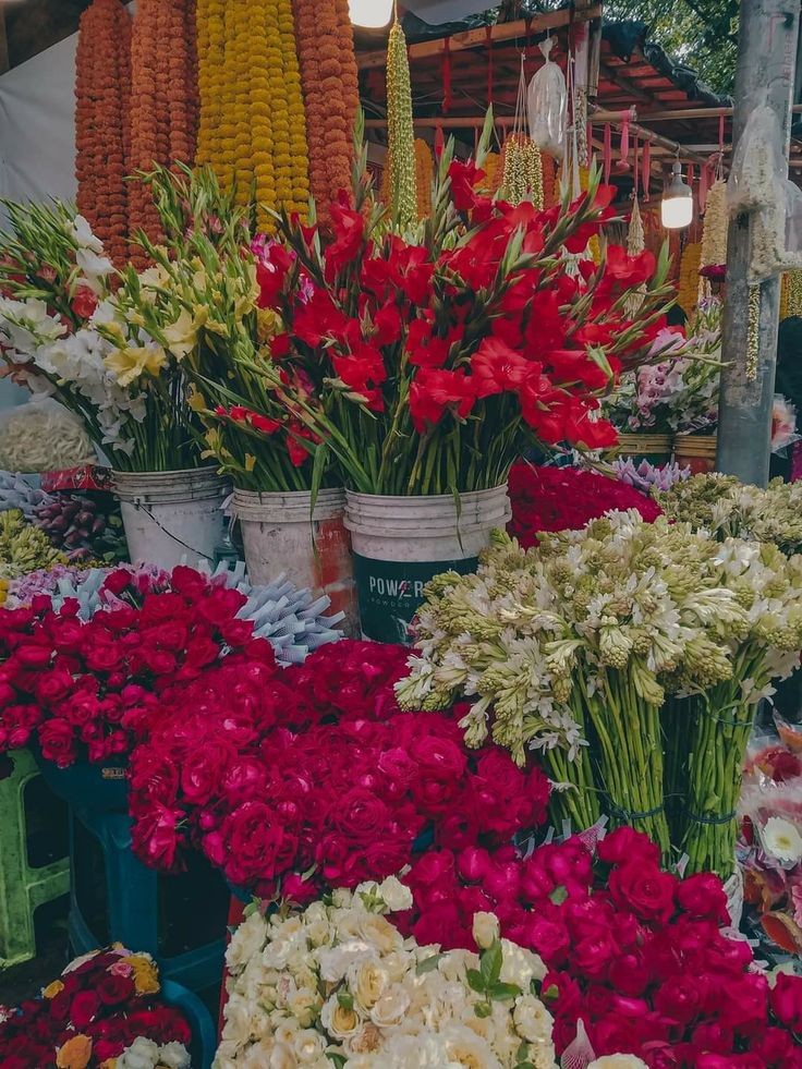 Flowers are my utmost form of therapy. 🌹🌸🌿