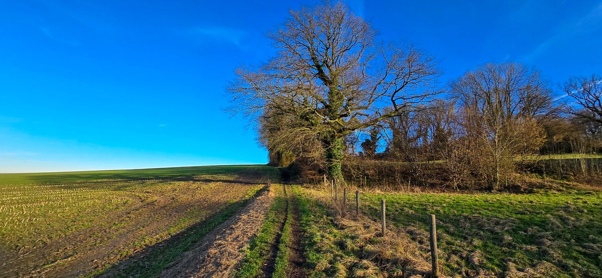 marcelbar8's tweet photo. Wat een prachtdag! Hebben jullie er ook van genoten?
Vanmiddag wandelde ik via #Slenaken, #Heijenrath (F1) en #Eperheide (F2/F3) terug naar #Epen. 14,5 km op de teller.
En zojuist als toetje een mooie #zonsondergang (F4) bij kasteel Beusdal (omg. #Sippenaeken (B).
@magnifiekZL https://t.co/bJDx67RZ2G