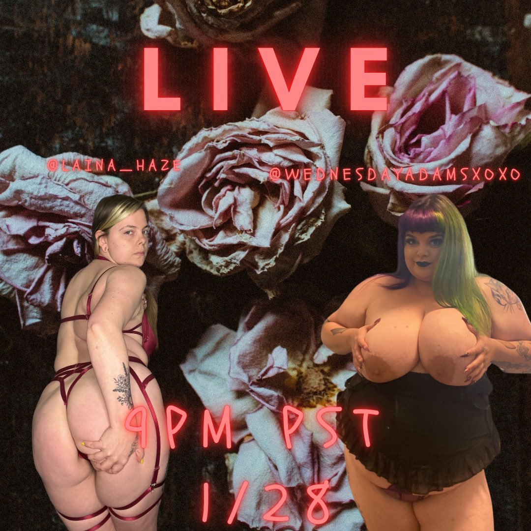 Content from laina_haze