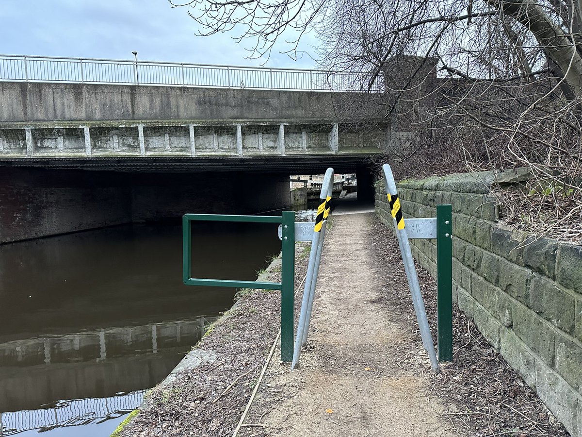 Nicholaus Hall tweet media