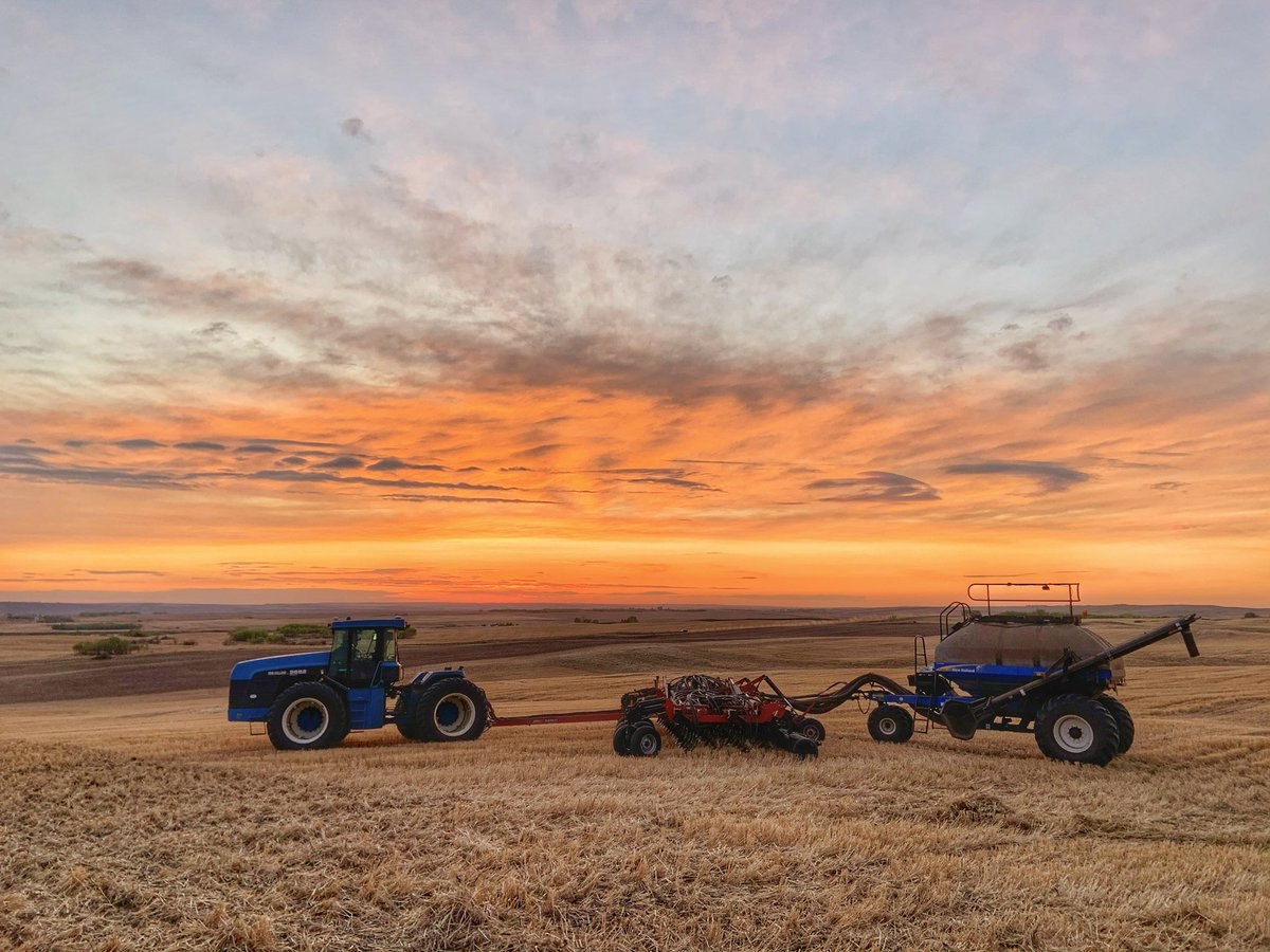 Only 1.6% of the population in Canada are currently farmers

Yet 1 in 9 jobs in our country are because of Agriculture and it generates $143 Billion of the national GDP

Our voice may be small but we have a large impact on the success of this nation

#ThoughtsFromaFarmer🇨🇦