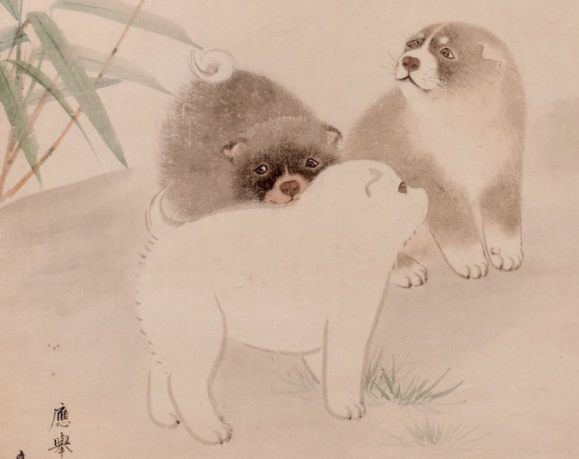 thinking about maruyama okyo | puppies (detail), c. 1790