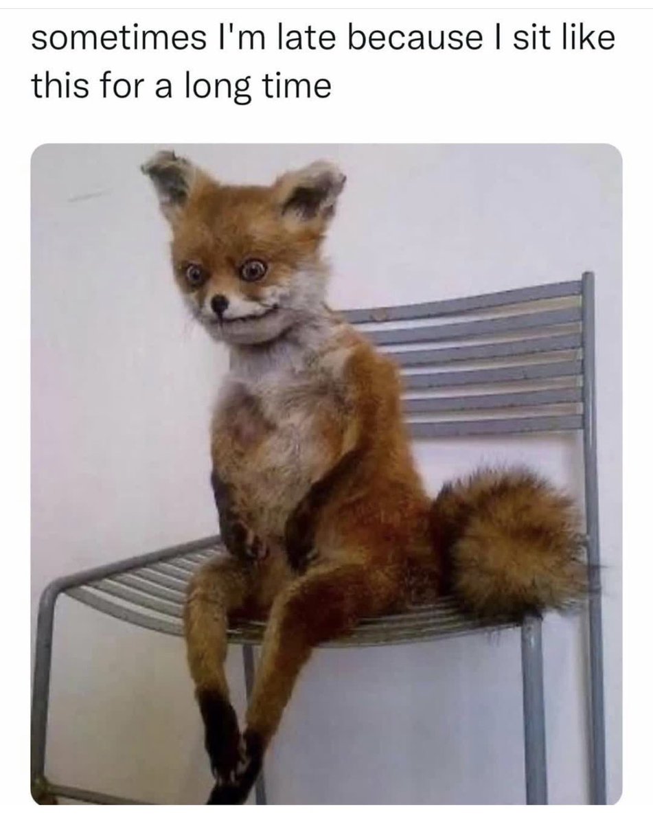 i feel attacked by this.. yet also have to accept its total.. complete resonance with me.. #procastinationsunday #legalaidlawyer  #cansomeoneplsdomysundaylegalhomework 📚 👩‍⚖️