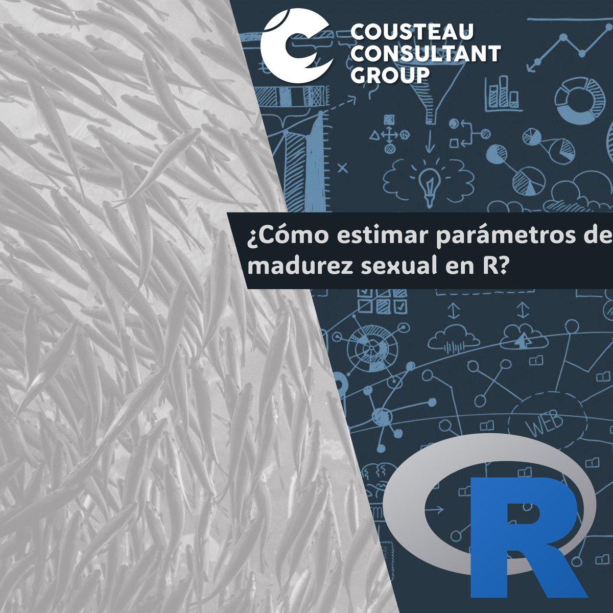 Cousteau Consultant Group tweet media
