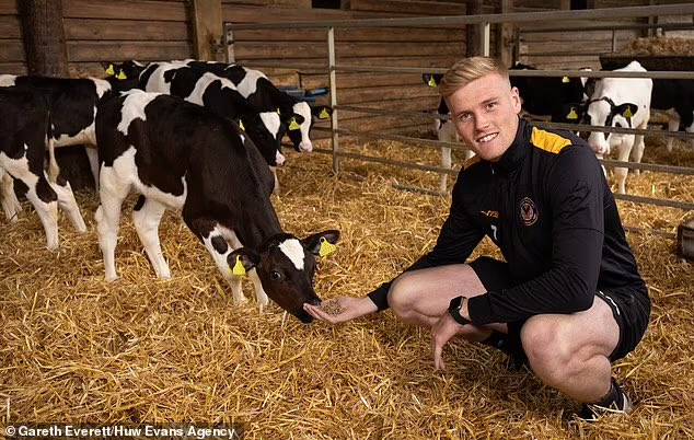 3 years ago, Will Evans was a 𝐃𝐚𝐢𝐫𝐲 𝐟𝐚𝐫𝐦𝐞𝐫. Today he scored against Manchester United in the FA Cup. 🐄

#FACup #WillEvans #Newport