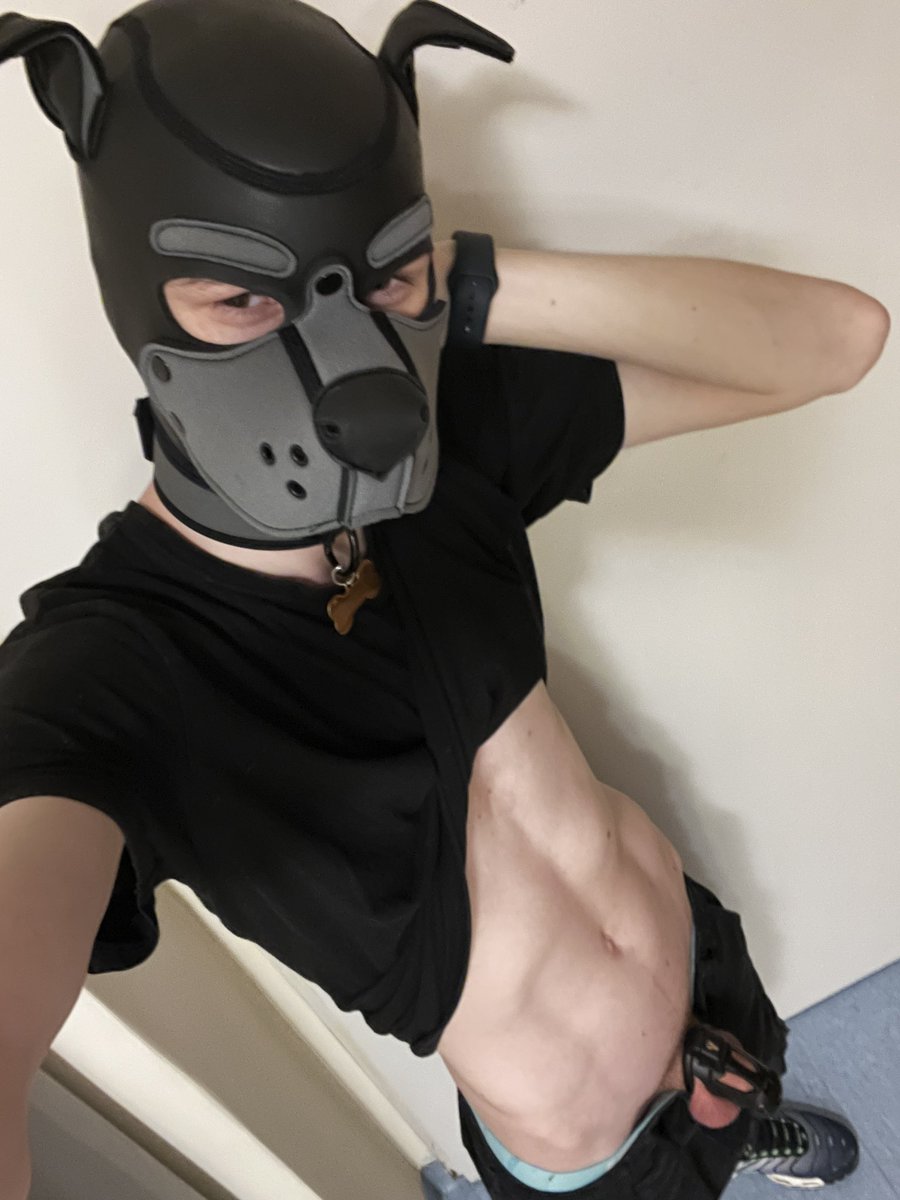 Dzisiaj minął miesiąc od dnia zamknięcia woof woof 🐶🥳