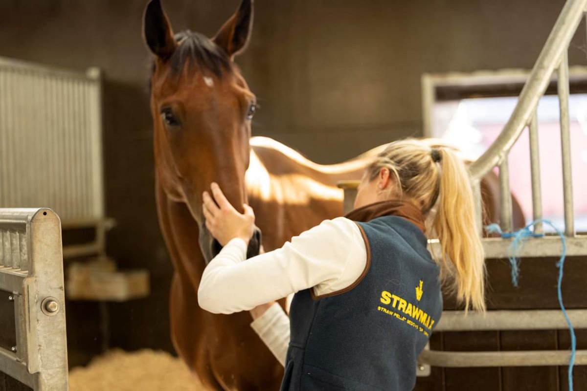 W H Y  C H O O S E  S T R A W M A X?

🌾Softer &amp; breaks down easily
🌾Virtually no airborne dust
🌾Fluff up faster to deeper volume
🌾Exceptional moisture absorbency
🌾Highly effective odour suppression

#strawmax #beddedonstrawmax #strawpelletbedding