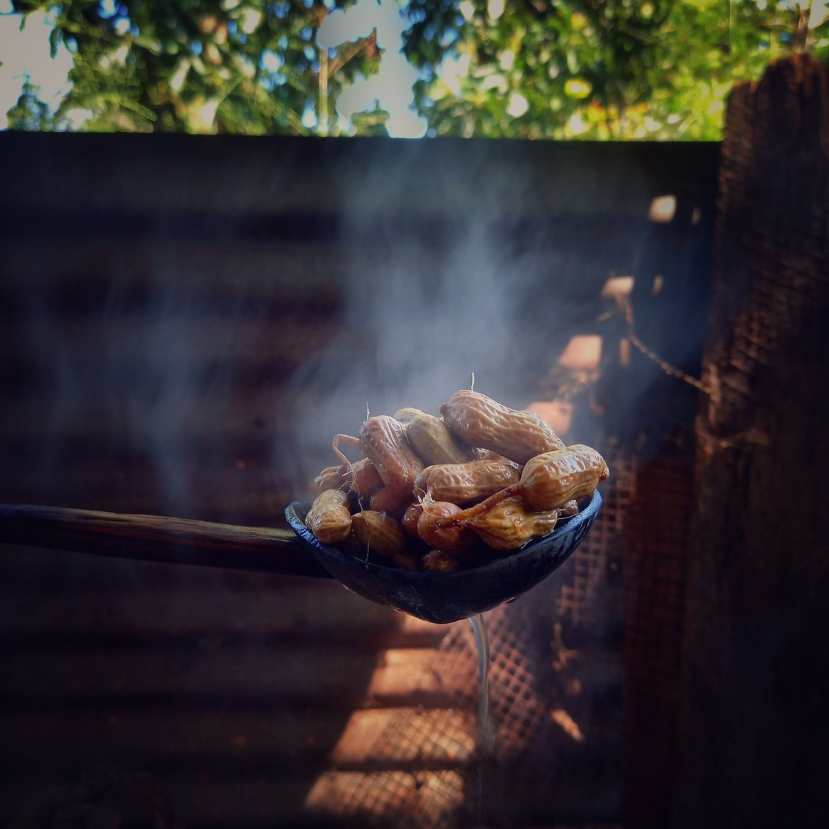 KeechBeech's tweet photo. Boiled peanuts 🥜

#foodoftheday #Foodie #foodlovers #yummy https://t.co/EquxcKJacp