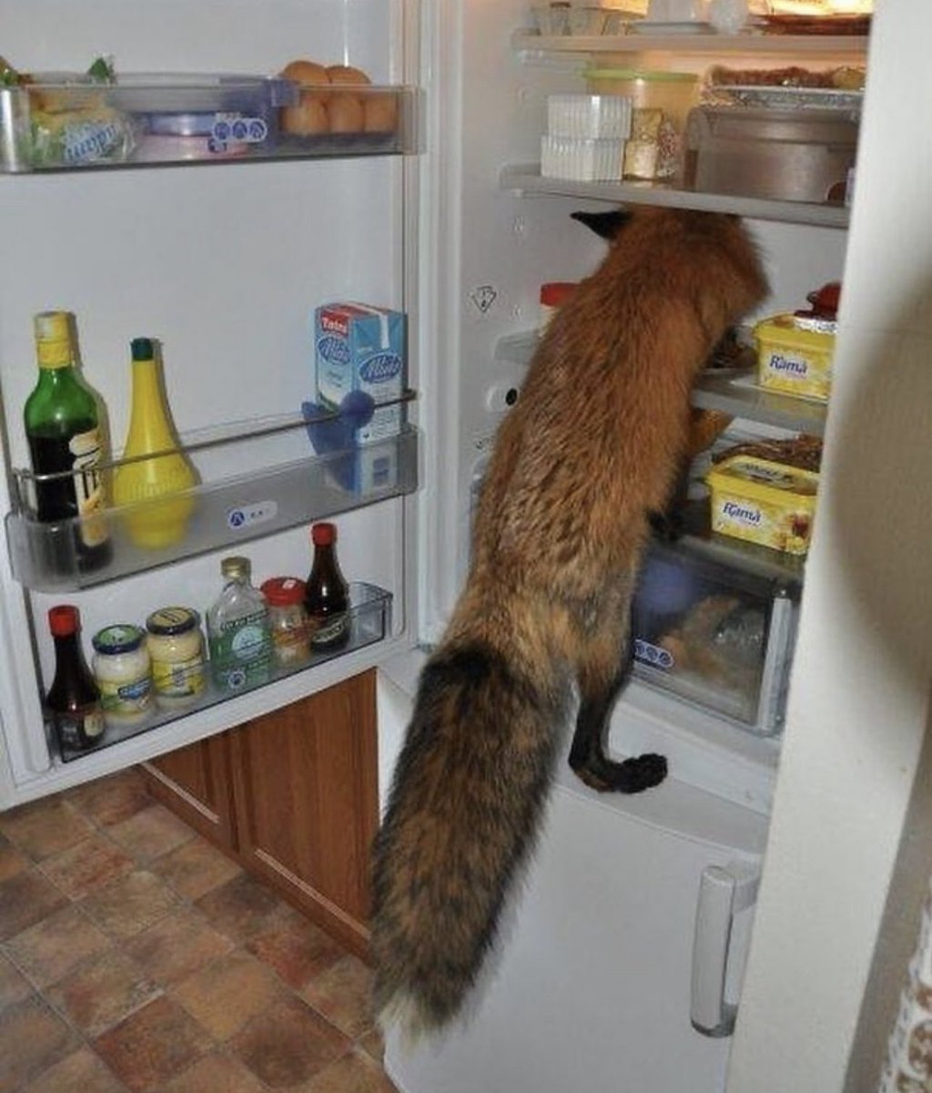 WERES MY      DIET  COKE