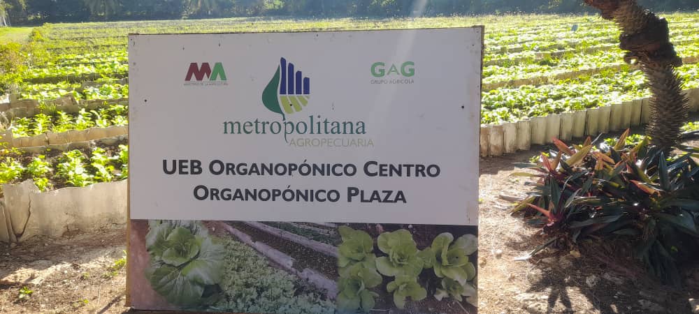 Alejandro Gil Fernández tweet media