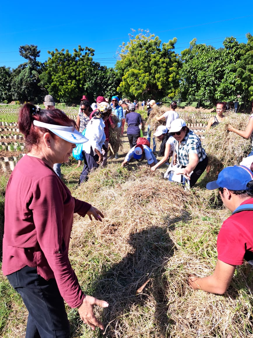Alejandro Gil Fernández tweet media