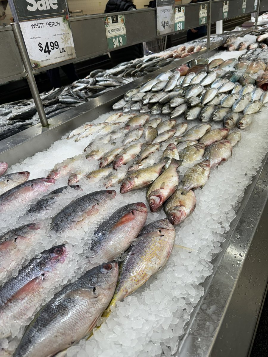 SimRacerEX's tweet image. Island Supermarket