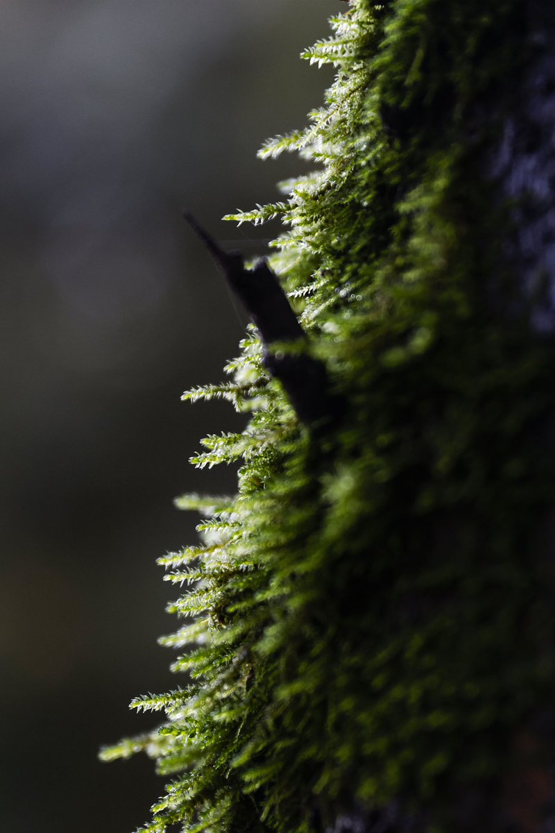 Jessica Christian tweet media