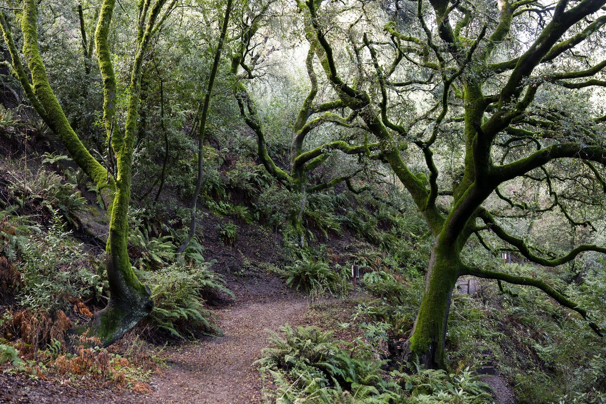 Jessica Christian tweet media