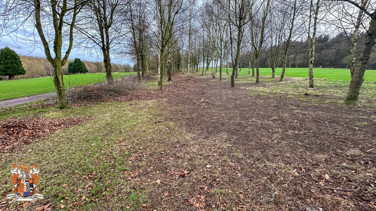 The Thursday Volunteer Group continued working their way up the 14th/16th. Probably about a third of the way now. Some before and after photos below. Not bad for a bunch of 'oldies'