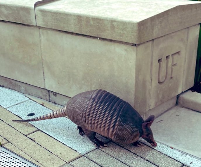 Norman Beatty tweet media