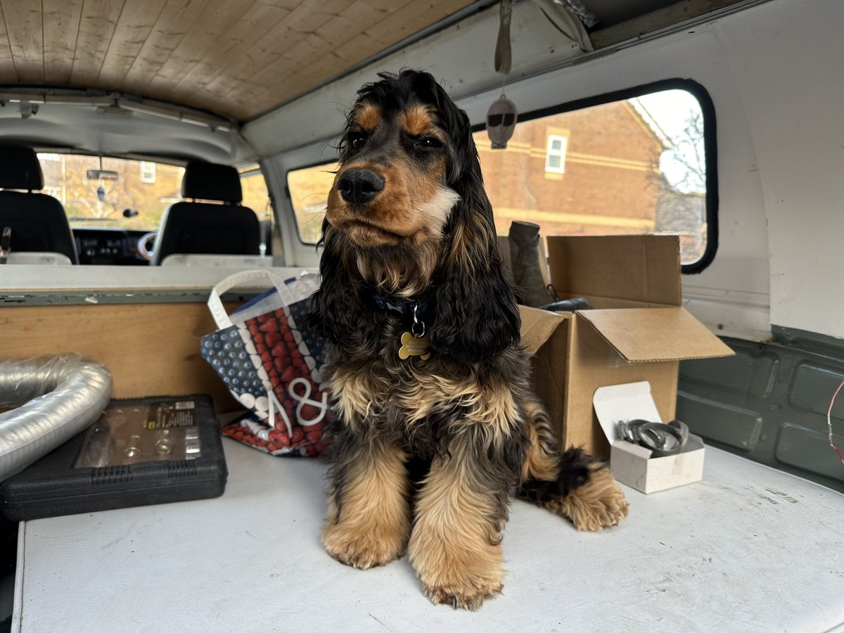 S555DRJ's tweet image. New exhaust fitted on #projectolive - the old girl is slowly coming back to life #vwtype2 #stainlesssteelexhaust #restorationproject #aircooledlife @justkampers