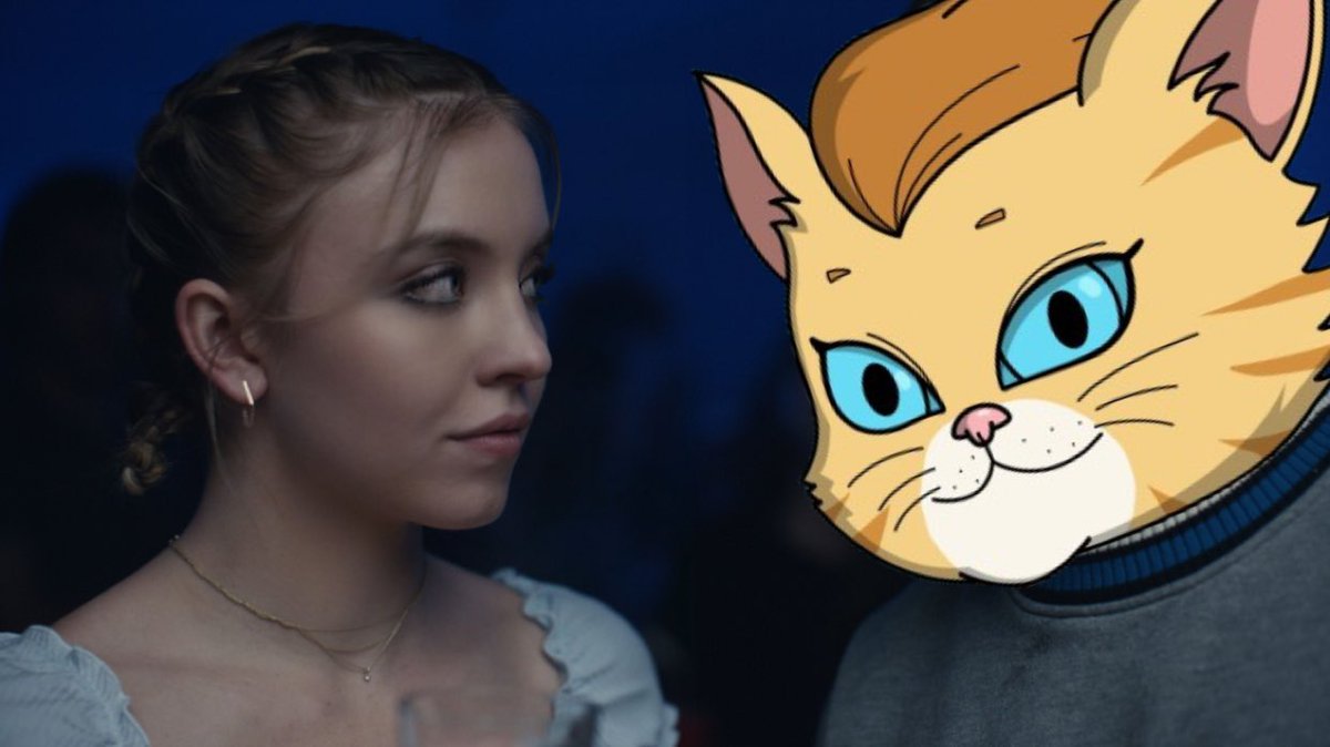 $SEICAT on Sei tweet media